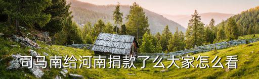 河南唐藝捐款多少,司馬南給河南捐款了么