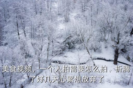 美食視頻，一個人拍需要怎么拍、折騰了好幾天心累想放棄了