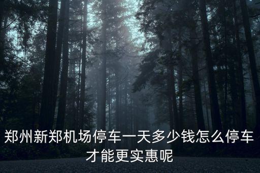 鄭州新鄭機(jī)場停車一天多少錢怎么停車才能更實(shí)惠呢