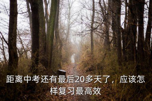 距離中考還有最后20多天了，應該怎樣復習最高效