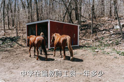 中學在編教師工資一年多少