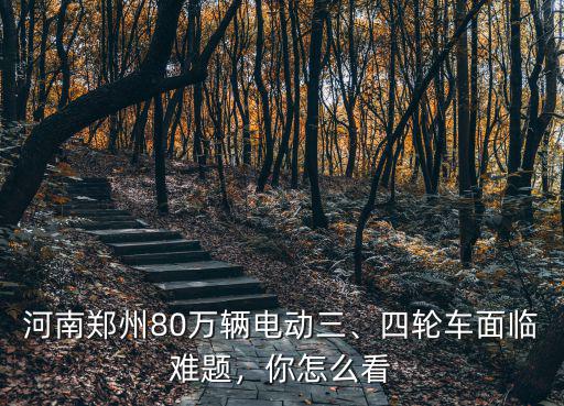 河南鄭州80萬輛電動三、四輪車面臨難題，你怎么看