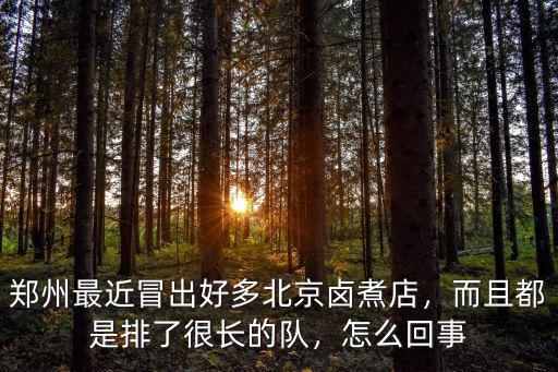 鄭州最近冒出好多北京鹵煮店，而且都是排了很長的隊，怎么回事