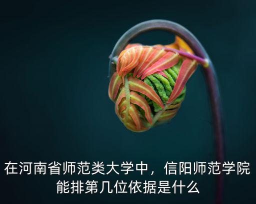 在河南省師范類大學中，信陽師范學院能排第幾位依據是什么