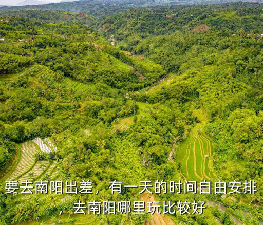 要去南陽出差，有一天的時間自由安排，去南陽哪里玩比較好