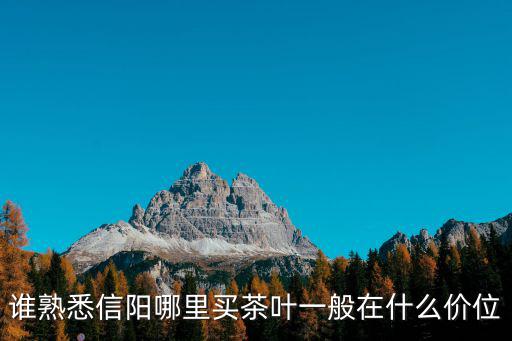 誰熟悉信陽哪里買茶葉一般在什么價位