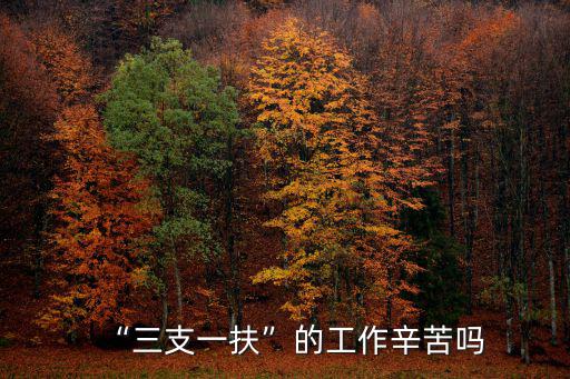 河南三支一扶去哪里報名,三支一扶如何報名
