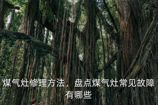 信陽光山哪里有修煤氣灶的,煤氣灶修理方法
