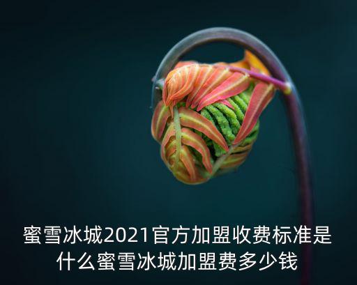 蜜雪冰城2021官方加盟收費標準是什么蜜雪冰城加盟費多少錢
