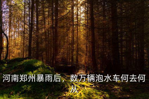 河南鄭州暴雨后，數萬輛泡水車何去何從