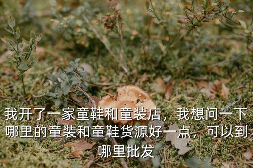 我開了一家童鞋和童裝店，我想問一下哪里的童裝和童鞋貨源好一點，可以到哪里批發
