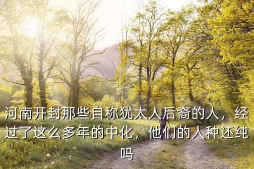 河南開封那些自稱猶太人后裔的人，經過了這么多年的中化，他們的人種還純嗎