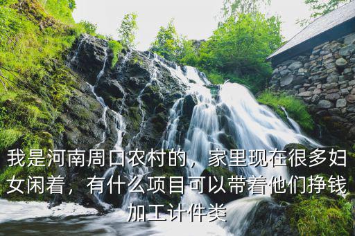 我是河南周口農(nóng)村的，家里現(xiàn)在很多婦女閑著，有什么項(xiàng)目可以帶著他們掙錢加工計(jì)件類