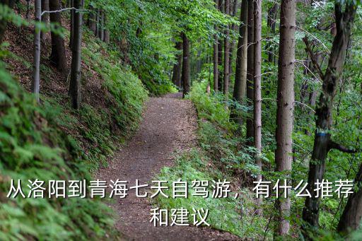 從洛陽(yáng)到青海開(kāi)車要多少油錢,從洛陽(yáng)到青海七天自駕游
