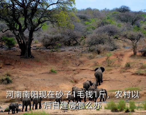 南陽現在農村拆房子怎么補償,河南南陽現在砂子1毛錢1斤
