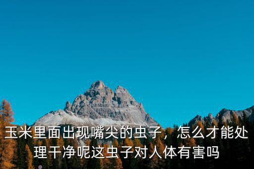 玉米里面出現(xiàn)嘴尖的蟲子，怎么才能處理干凈呢這蟲子對人體有害嗎