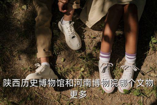 河南博物院工作怎么樣,河南博物院主館