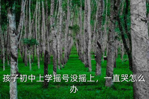 鄭州初中搖號怎么報名,鄭州公辦和民辦初中怎么招生