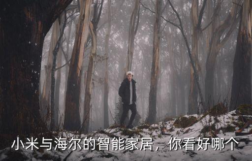 濮陽海爾智能家居怎么樣,海爾智能家居到底有多智能