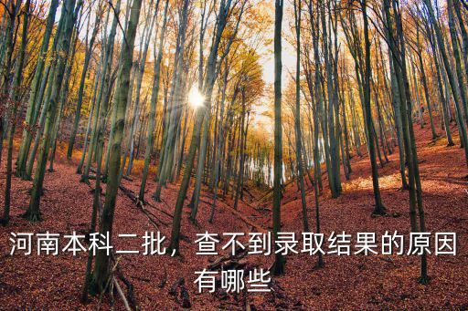 河南本科二批，查不到錄取結果的原因有哪些