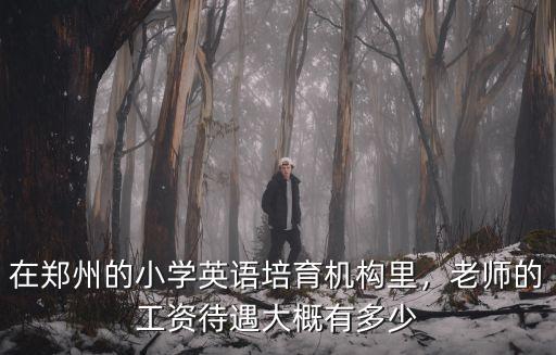 鄭州新東方英語(yǔ)老師工資多少,老師的工資待遇大概有多少