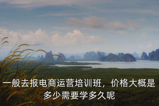新鄉淘寶運營培訓價格多少,價格大概是多少