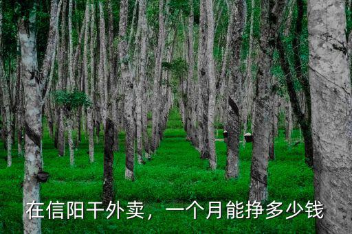 在信陽干外賣，一個月能掙多少錢