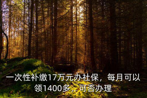一次性補繳17萬元辦社保，每月可以領1400多，可否辦理