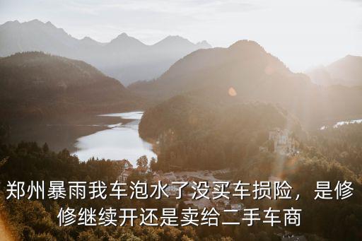 鄭州暴雨我車泡水了沒買車損險，是修修繼續開還是賣給二手車商