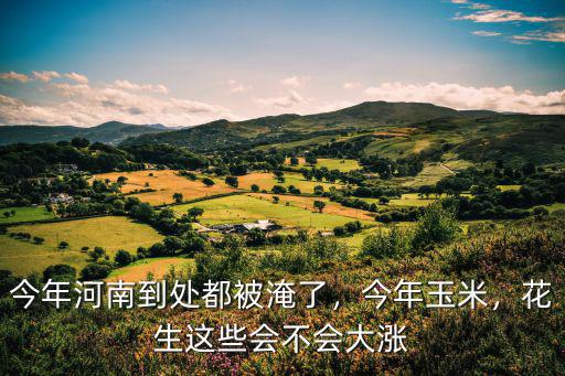 今年河南到處都被淹了，今年玉米，花生這些會不會大漲