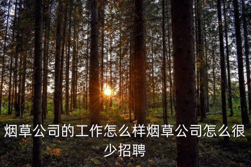 煙草公司的工作怎么樣煙草公司怎么很少招聘