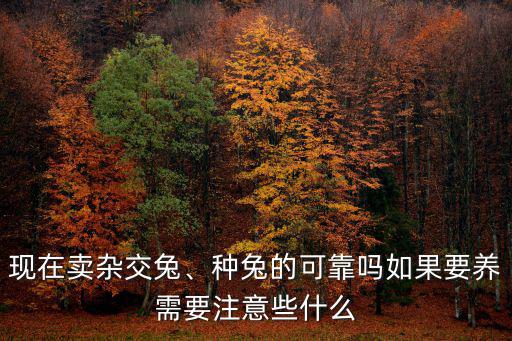 現在賣雜交兔、種兔的可靠嗎如果要養需要注意些什么