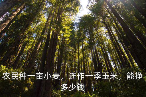 河南一畝蘋果能掙多少錢,種植稻田一畝地能掙多少錢