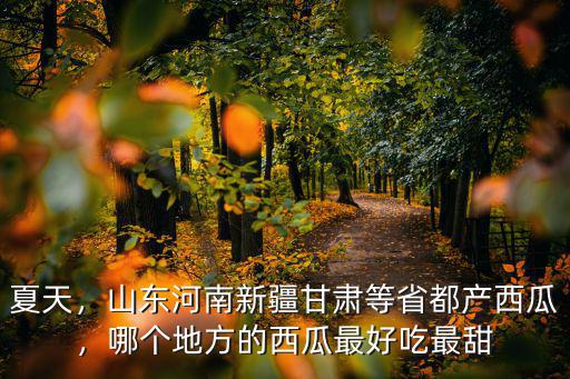 河南商丘西瓜怎么回事,河南西瓜走不出省