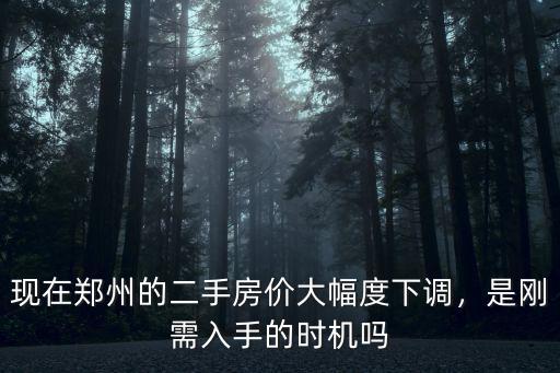 現在鄭州的二手房價大幅度下調，是剛需入手的時機嗎
