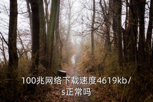 100兆網絡下載速度4619kb/s正常嗎
