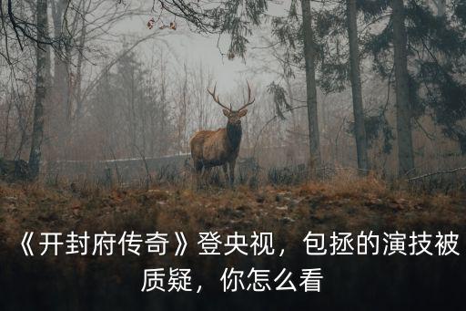 《開封府傳奇》登央視，包拯的演技被質疑，你怎么看