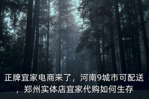 正牌宜家電商來了，河南9城市可配送，鄭州實體店宜家代購如何生存