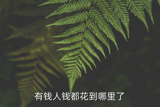 有錢人錢都花到哪里了