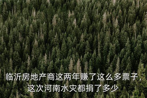 臨沂房地產(chǎn)商這兩年賺了這么多票子，這次河南水災(zāi)都捐了多少