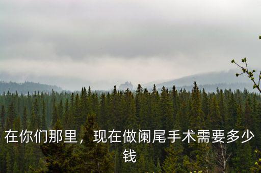 在你們那里，現在做闌尾手術需要多少錢