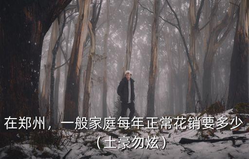 在鄭州，一般家庭每年正常花銷要多少（土豪勿炫）