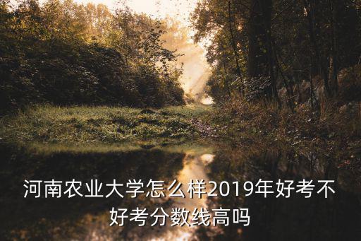 河南考540怎么樣,河南農業大學怎么樣