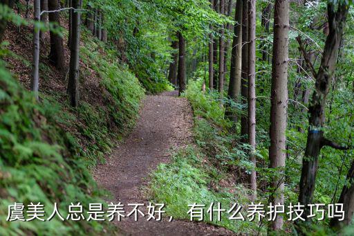 虞美人總是養不好，有什么養護技巧嗎
