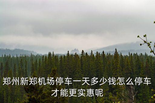 鄭州新鄭機場停車一天多少錢怎么停車才能更實惠呢