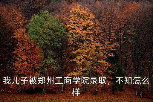 我兒子被鄭州工商學院錄取，不知怎么樣