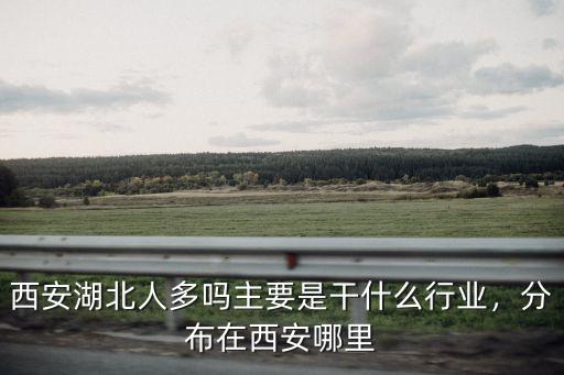 西安湖北人多嗎主要是干什么行業，分布在西安哪里