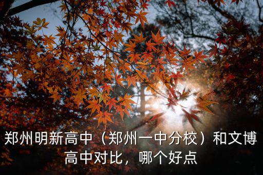 鄭州明新高中（鄭州一中分校）和文博高中對比，哪個好點