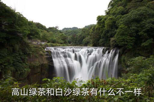 信陽(yáng)高山綠茶怎么樣,信陽(yáng)四望山的茶葉怎么樣