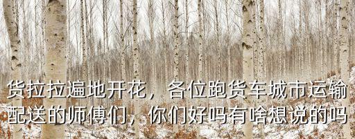周口有多少個(gè)縣在使用貨拉拉,貨拉拉遍地開花